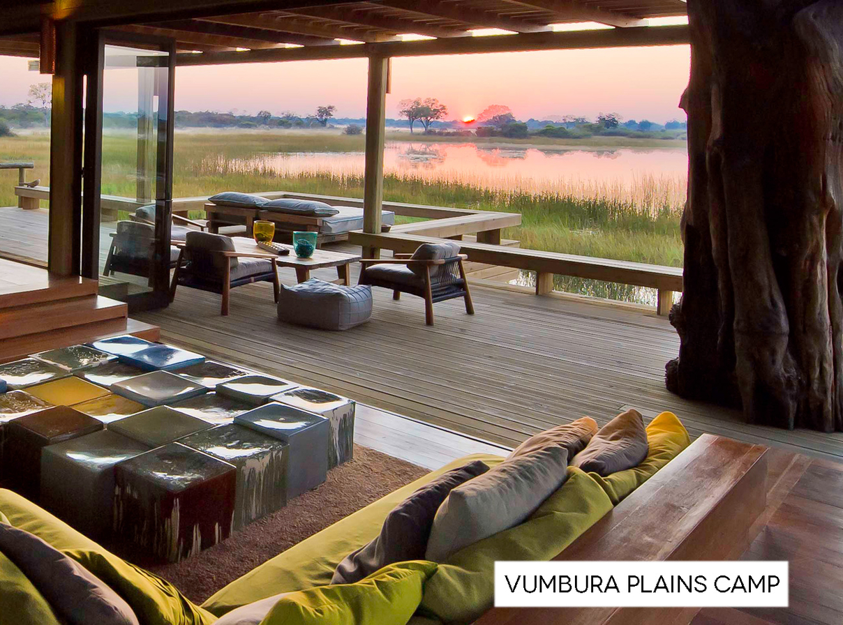 vincent-ailleurs-vumbura-plains-camp-okavango-delta-botswana-4-safari.jpg