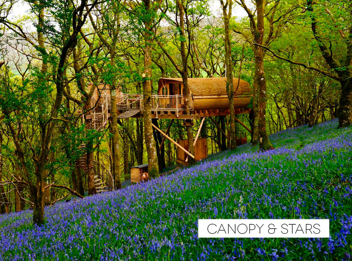 shoky-ailleurs-Canopy-and-Stars-treehouse.jpg