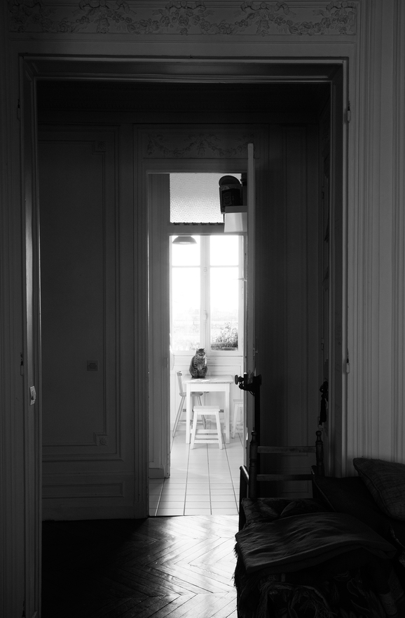 margot-appartement-parisien-décoration-inspiration-22.jpg