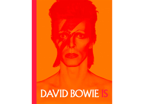 nacera-beaux-arts-bowie.jpg