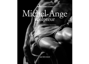 claudie-beaux-arts-sculpteur-michel-ange.jpg