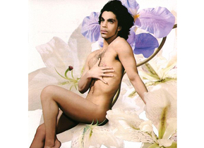 cecile-guerrier-music-prince.jpg