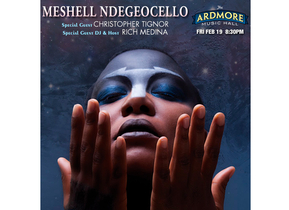 fanny-moizant-music-meshell-ndegeocello.jpg