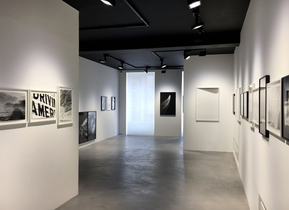 shoky-galerie-thierry-bigaignon.jpg